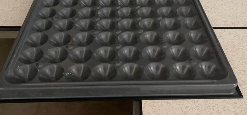 ALFA Floor Cement Tile